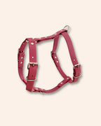 Harnais