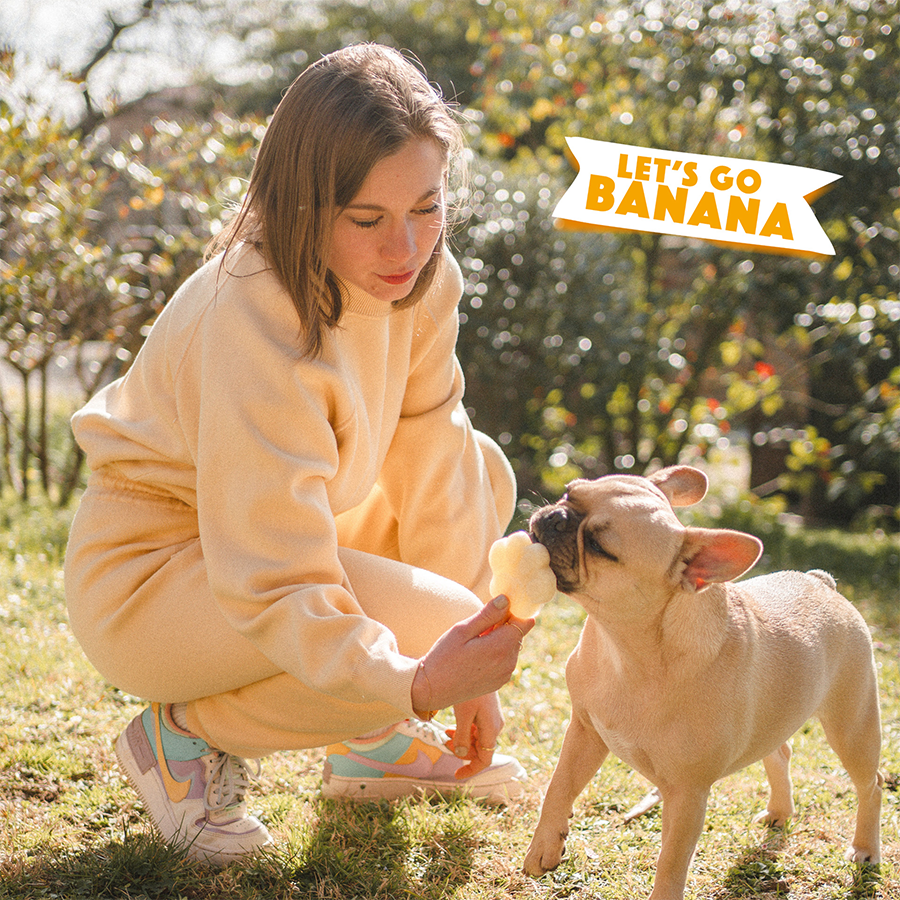 Glace pour chien - Banane