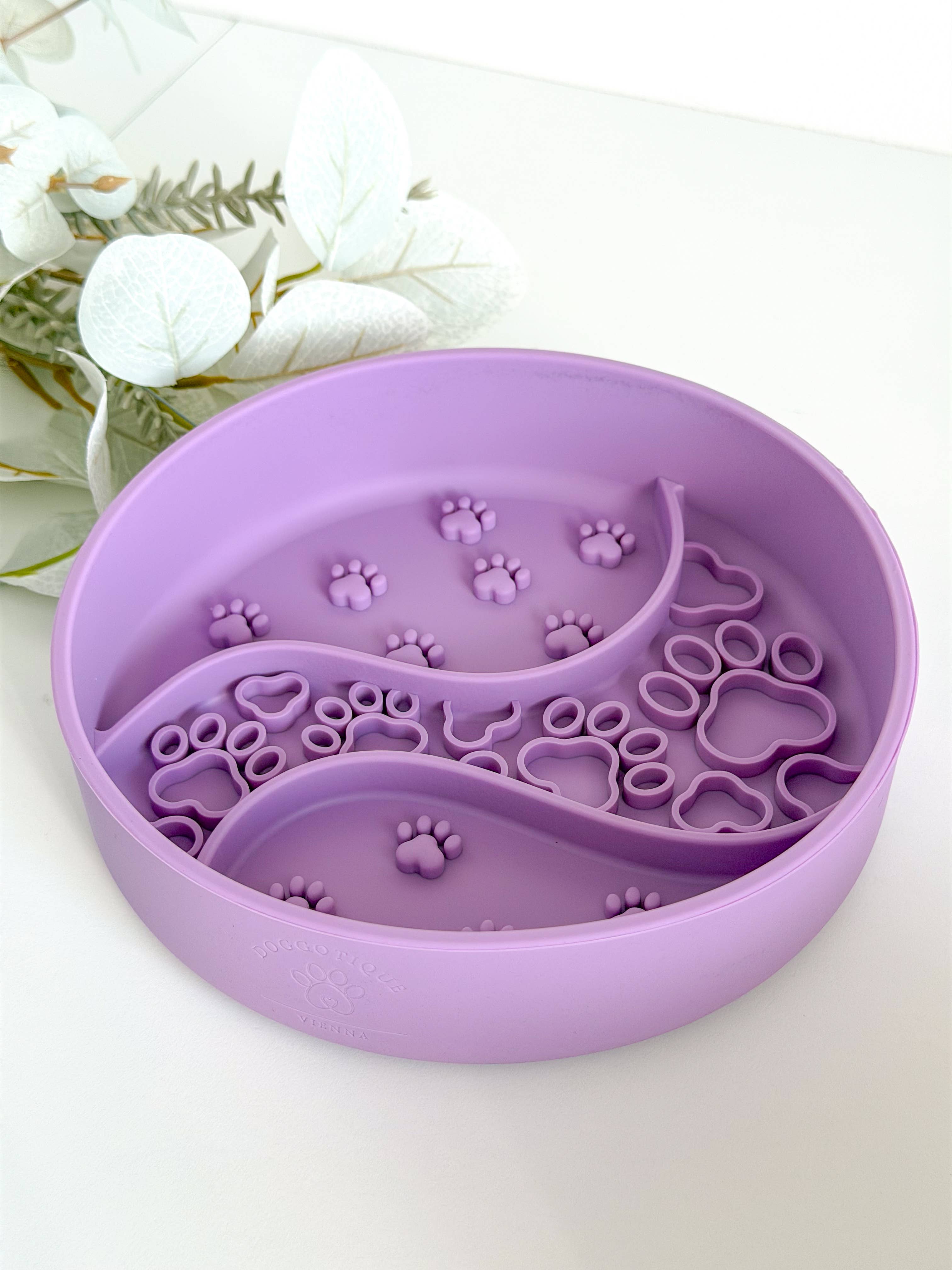 Slow Bowl pour chien