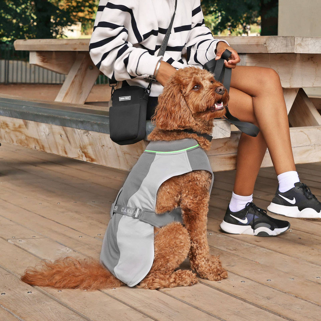 Gilet rafraîchissant Max Chill pour chien