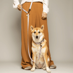 Laisse chien MULTIPOSITION biothane - LAVANDE