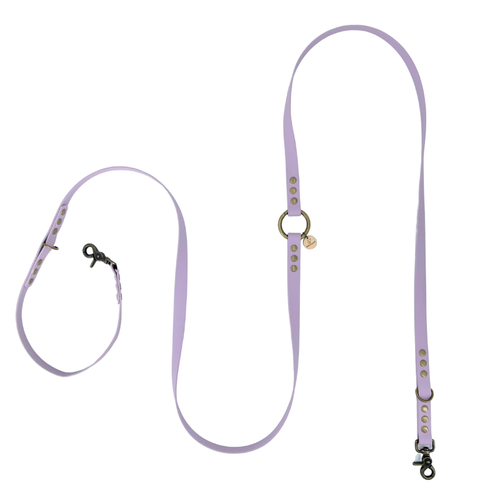 Laisse chien MULTIPOSITION biothane - LAVANDE