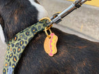 Médaille "Hot dog"