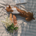 Jouet de fouille - BAGUETTE