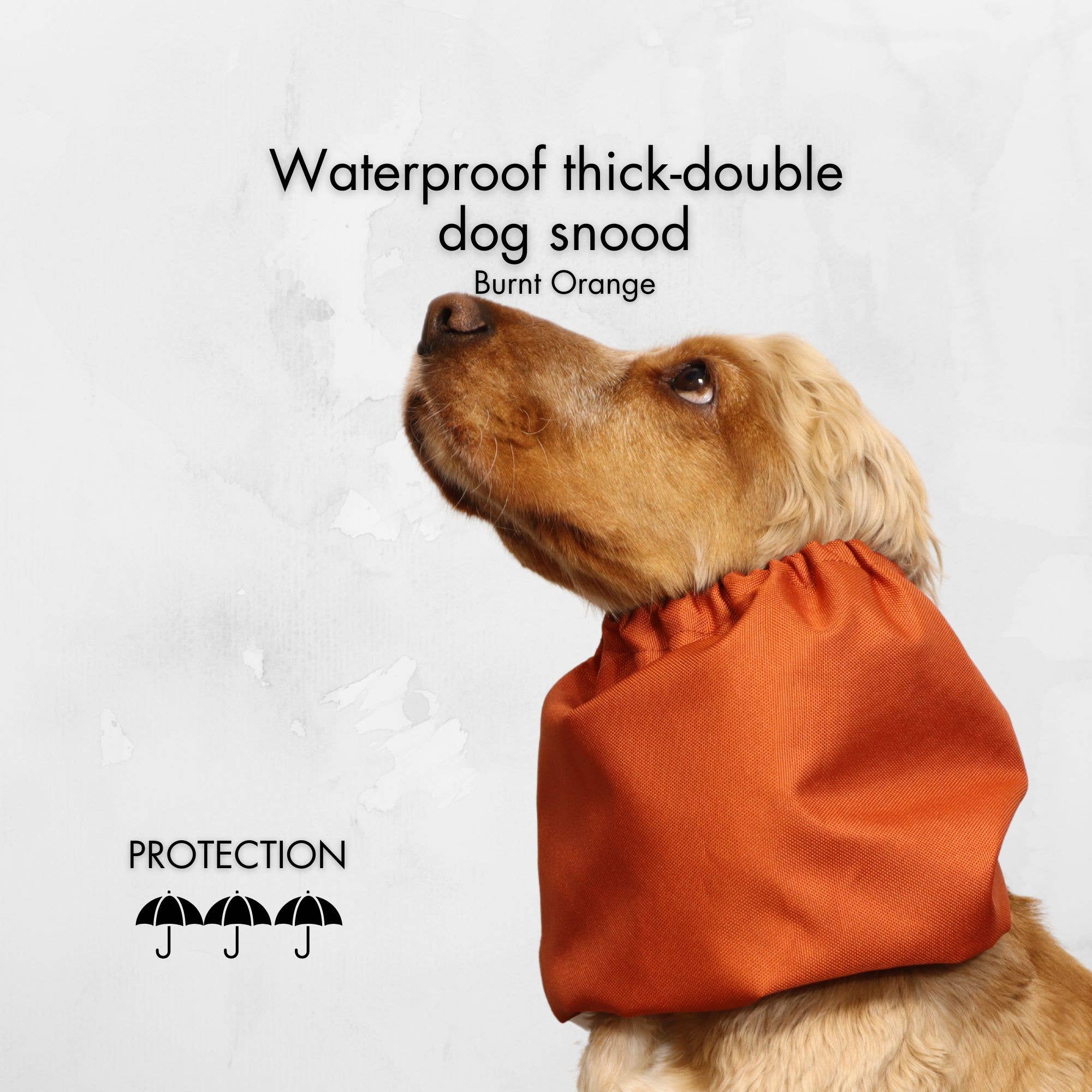 Tour de cou imperméable pour chien | Orange brûlé