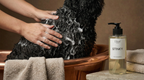 Shampoing naturel