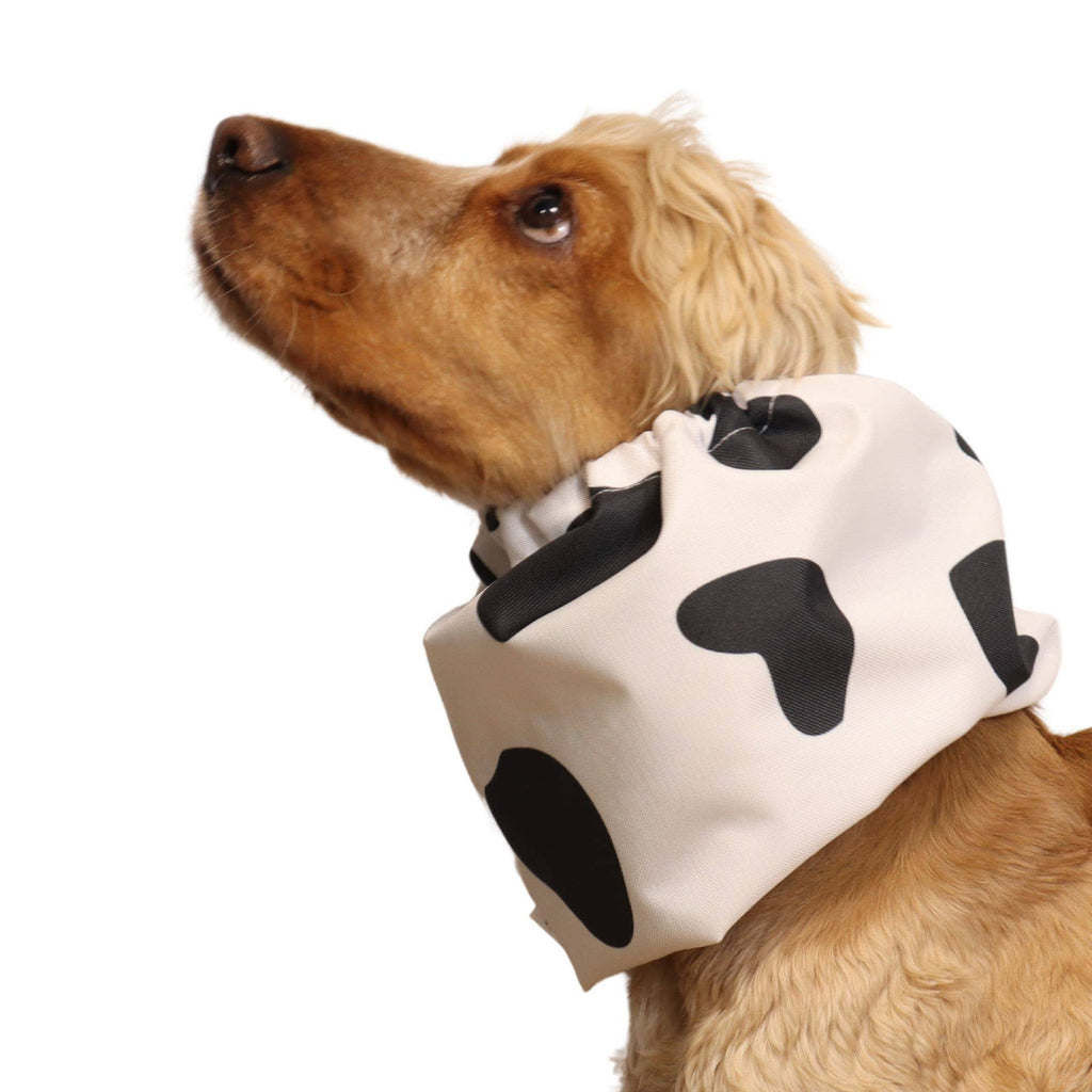 Snood imperméable pour chien | MOOOOOO