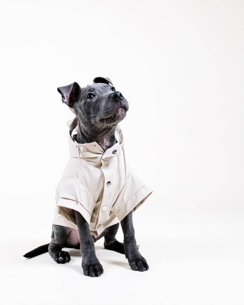 Imperméable  « Stone Dog »