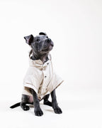 Imperméable  « Stone Dog »