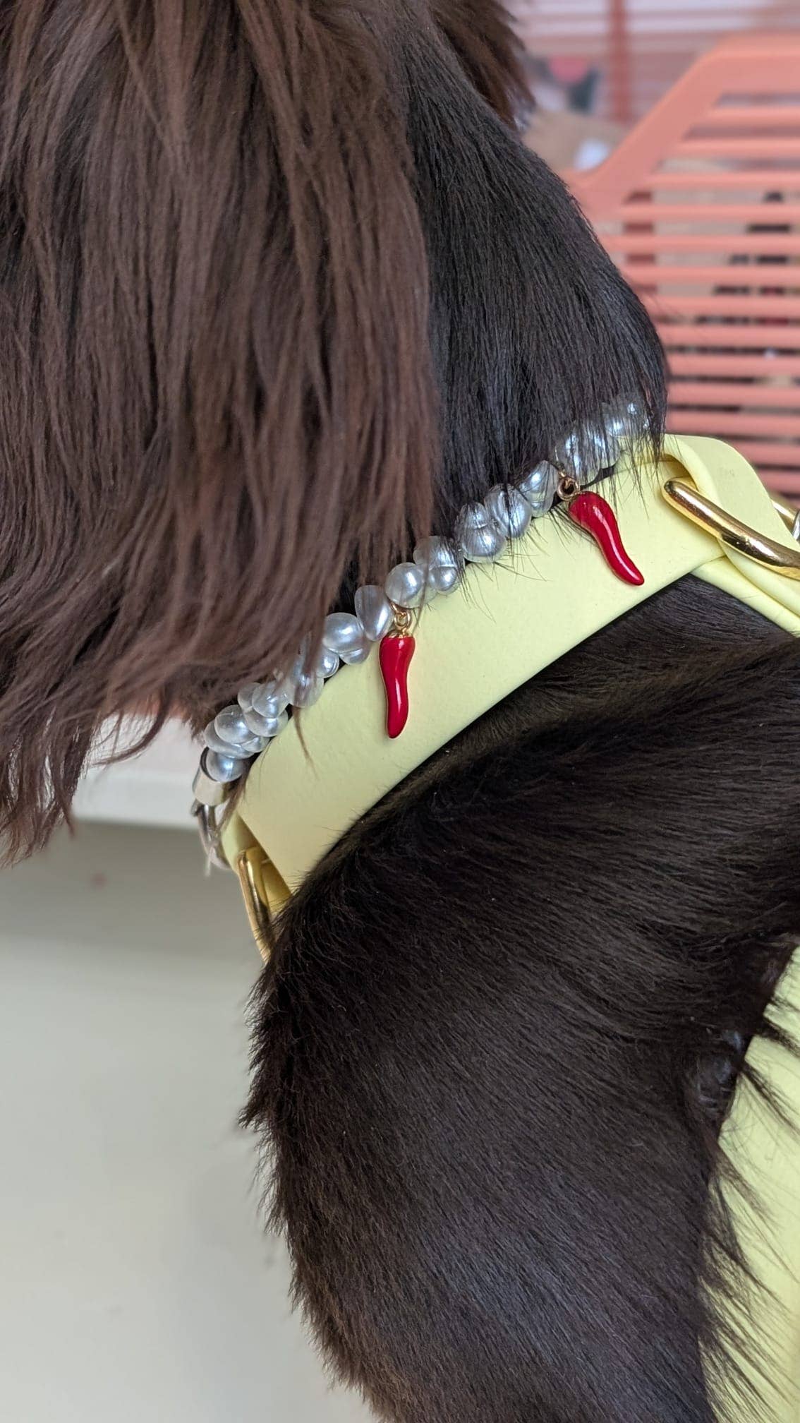 Collier en perles pour chien et chat Picante
