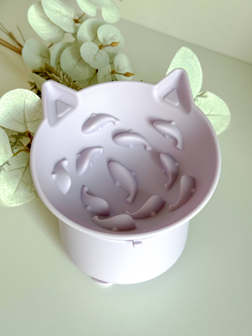 Gamelle pour chat