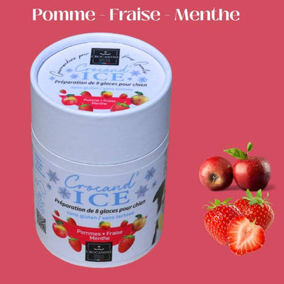Glace pour chien pomme-fraise