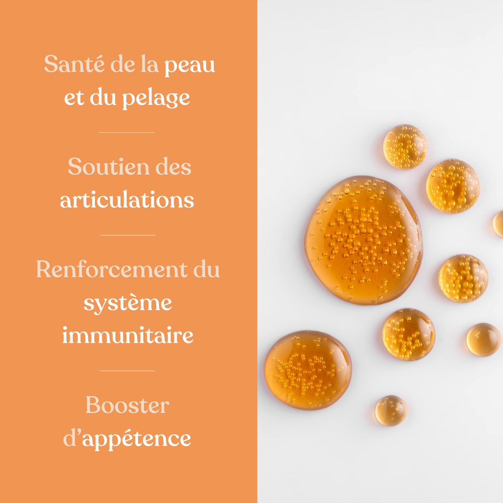 Huile de saumon