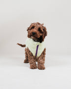 Gilet pour chien en polaire sherpa vert lime