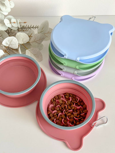 Foldable travel bowl