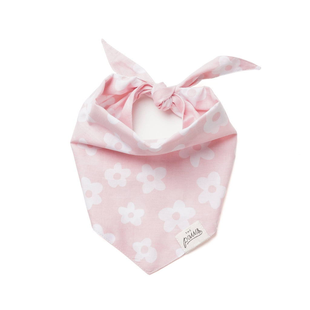 Bandana pour chien Daisie