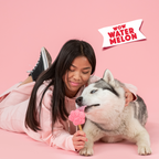 Glace pour chien - Pastèque