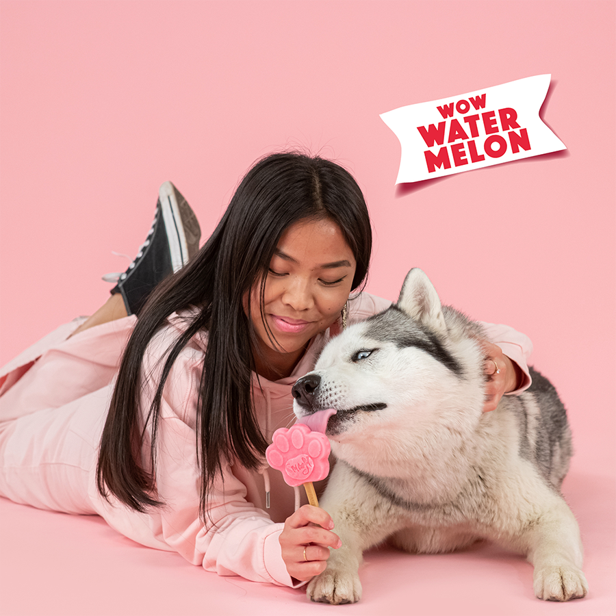 Glace pour chien - Pastèque