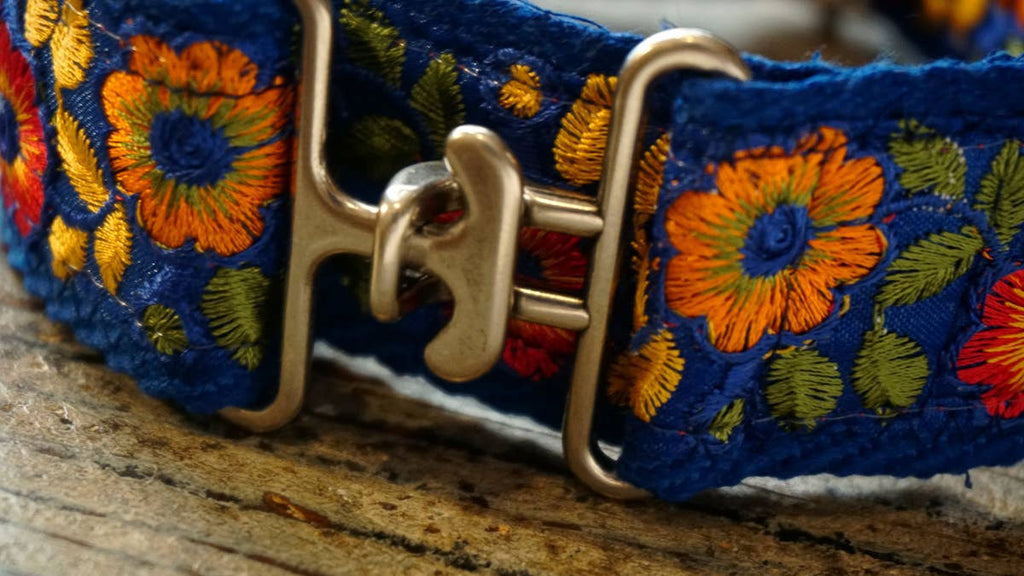 Collier large « Summertime » pour chiens moyens et grands