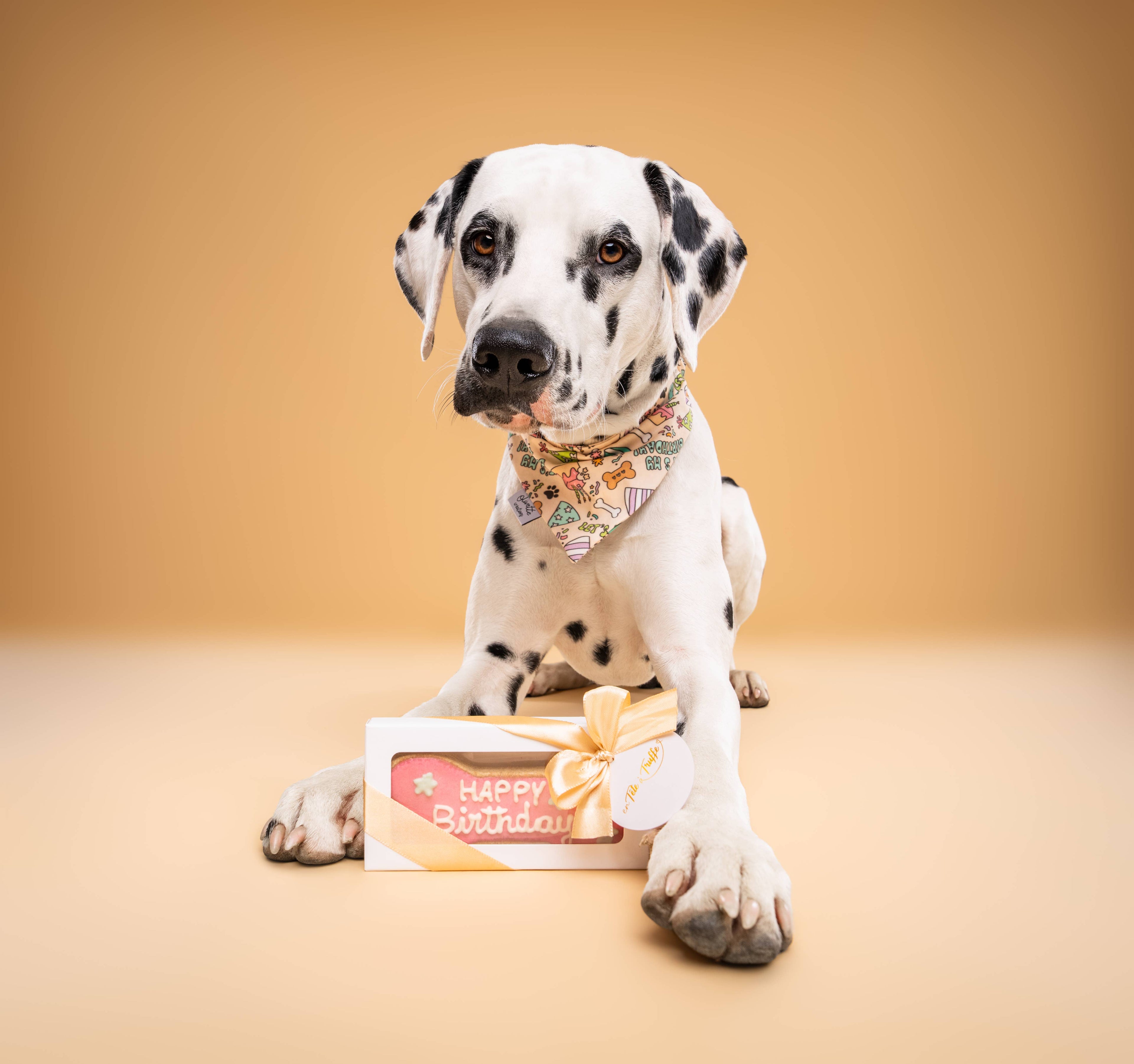 Biscuit Pour Chien “Happy Birthday”