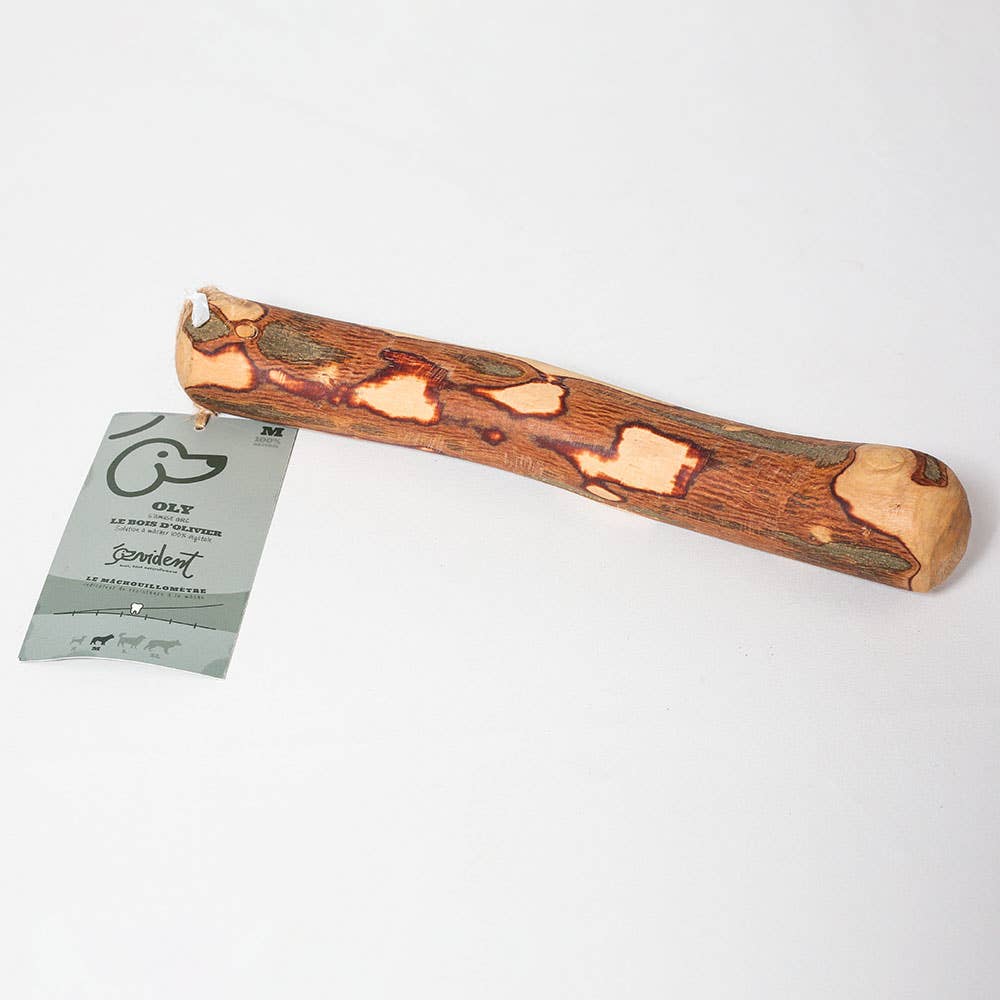 Bâton en bois d'olivier