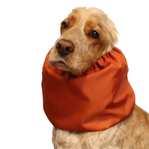 Tour de cou imperméable pour chien | Orange brûlé