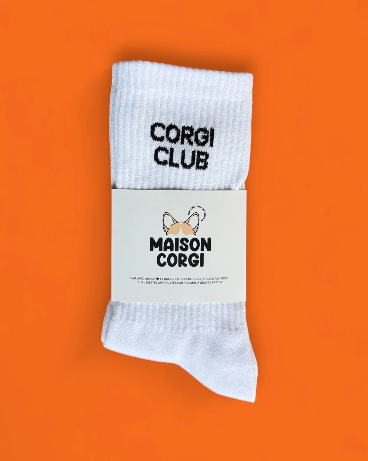 Chaussettes Corgi Club