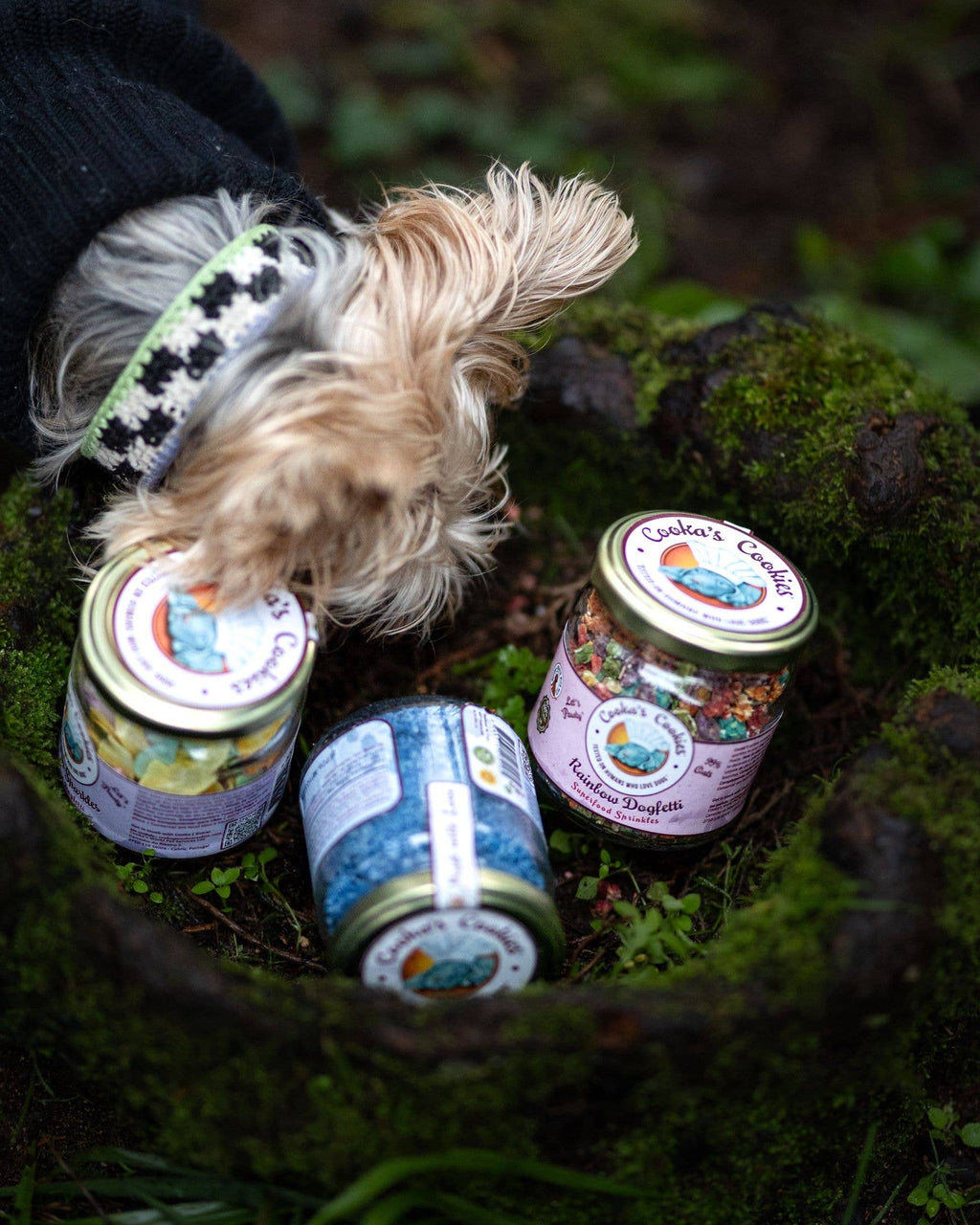 Mermaid Dust - Complément Alimentaire