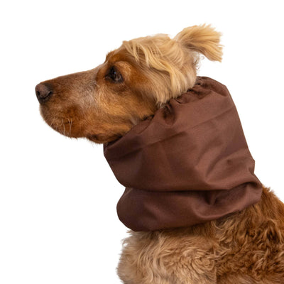 Snood pour chien imperméable | Chocolat