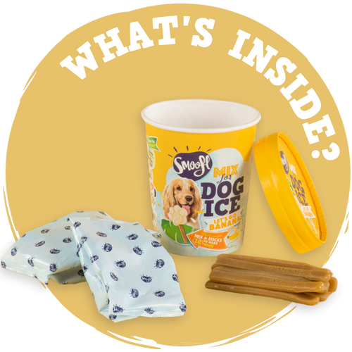 Glace pour chien - Banane