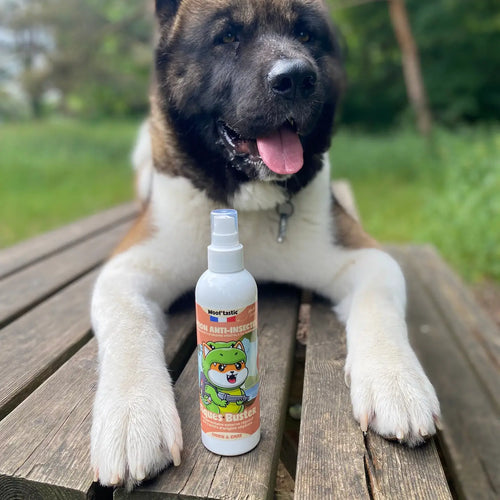 Tiques Buster - Lotion anti insectes