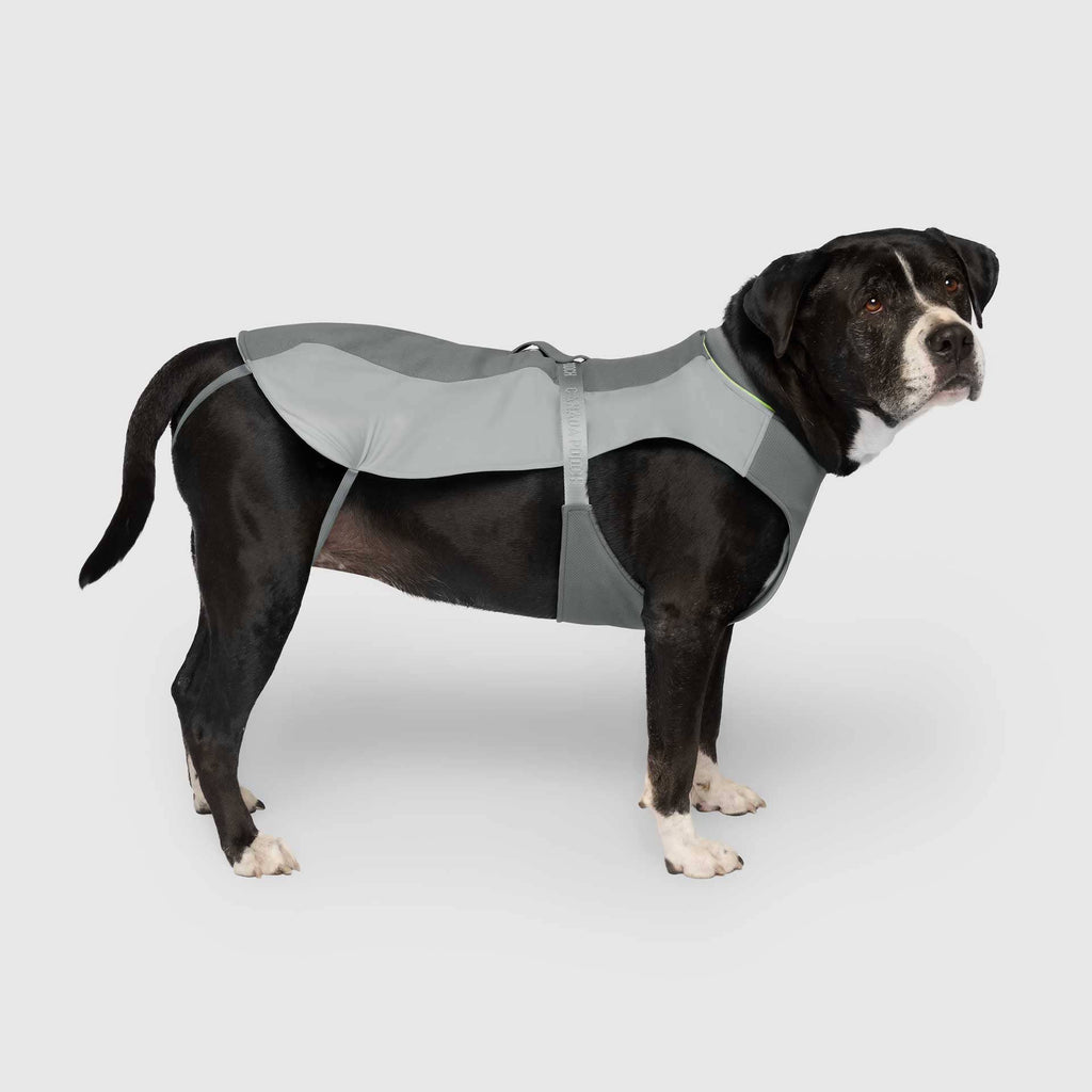 Gilet rafraîchissant Max Chill pour chien