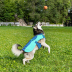 Gilet rafraîchissant Max Chill pour chien