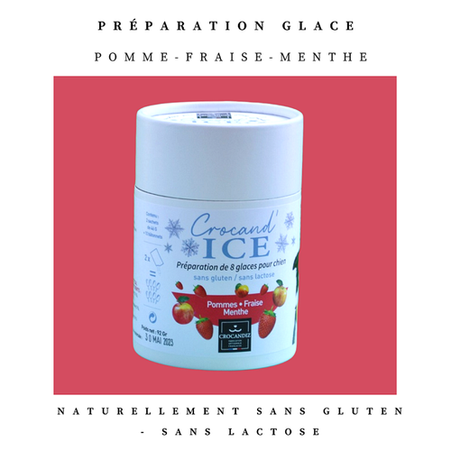 Glace pour chien pomme-fraise