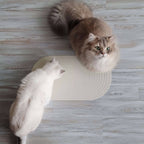 Tapis de gamelle