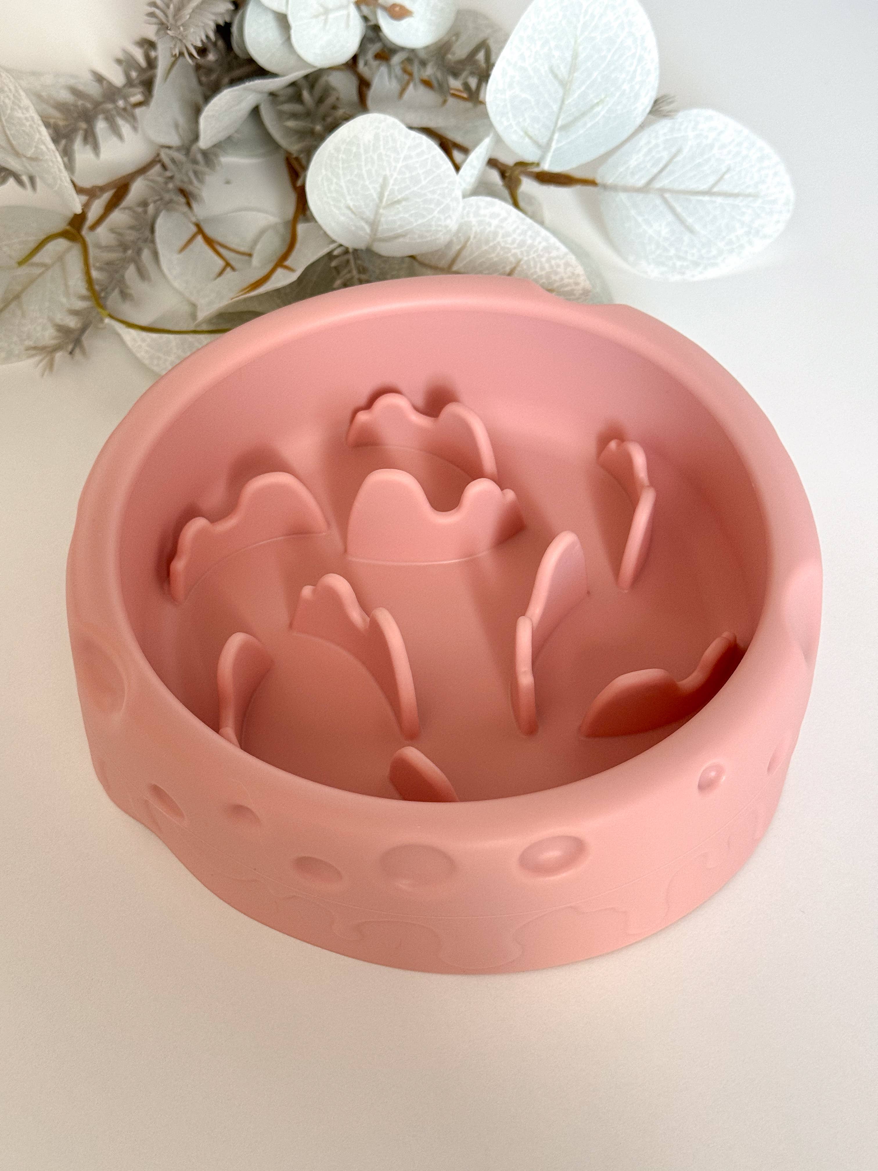 Gamelle anti-glouton Moon