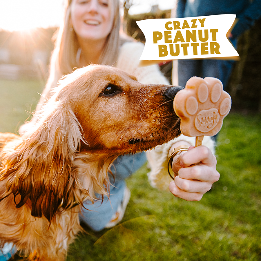 Glace pour chien - Beurre de cacahuète