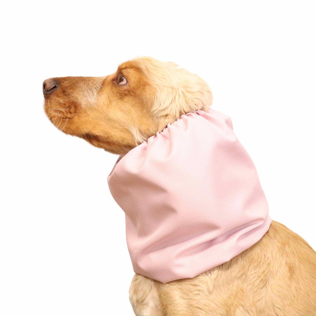 Snood Imperméable pour Chien | Rose Crème