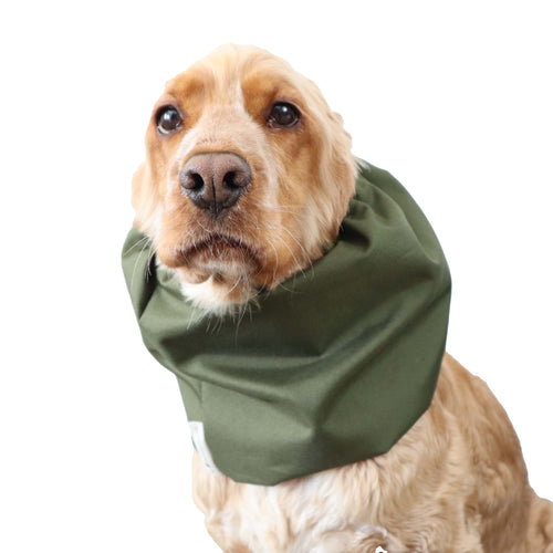 Snood Imperméable pour Chien | Vert Olive