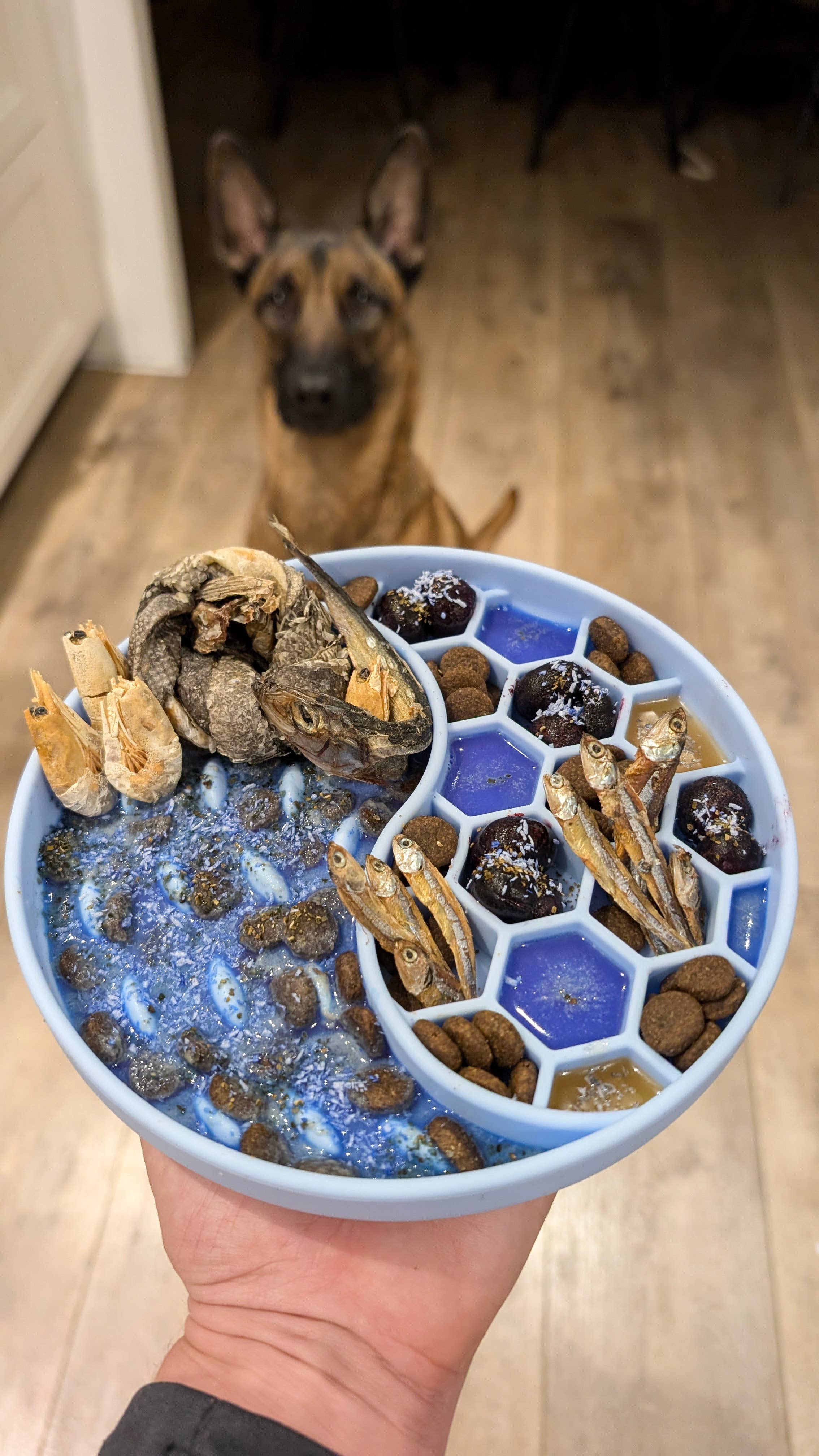 Mermaid Dust - Complément Alimentaire