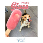 Glace pour chien pomme-fraise