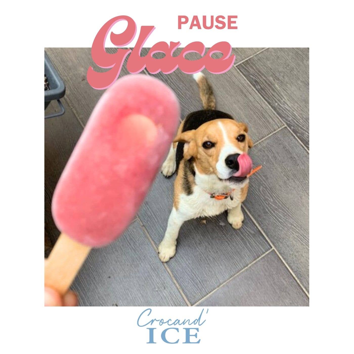 Glace pour chien pomme-fraise