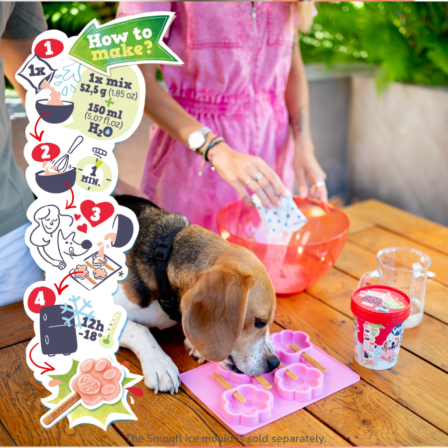 Glace pour chien - Pastèque