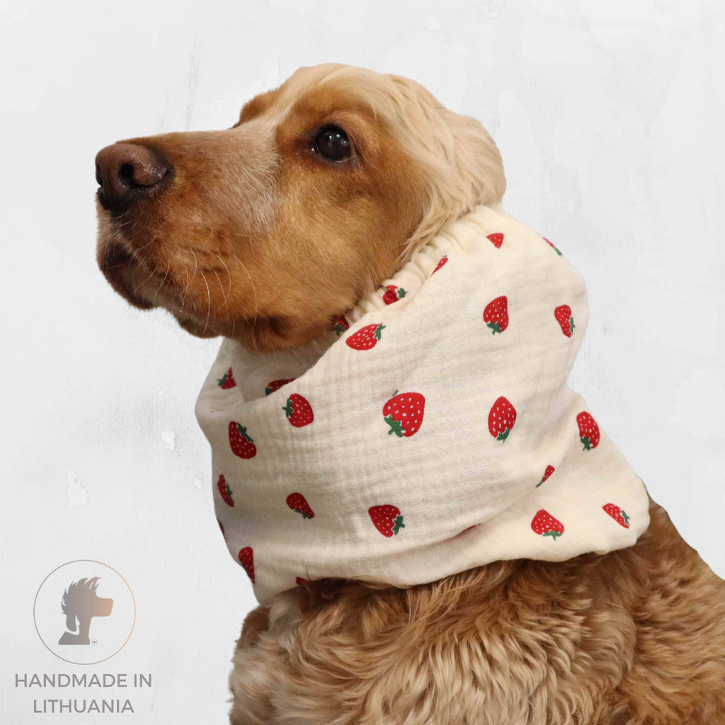 Snood léger en coton mousseline pour chien avec motif fraises