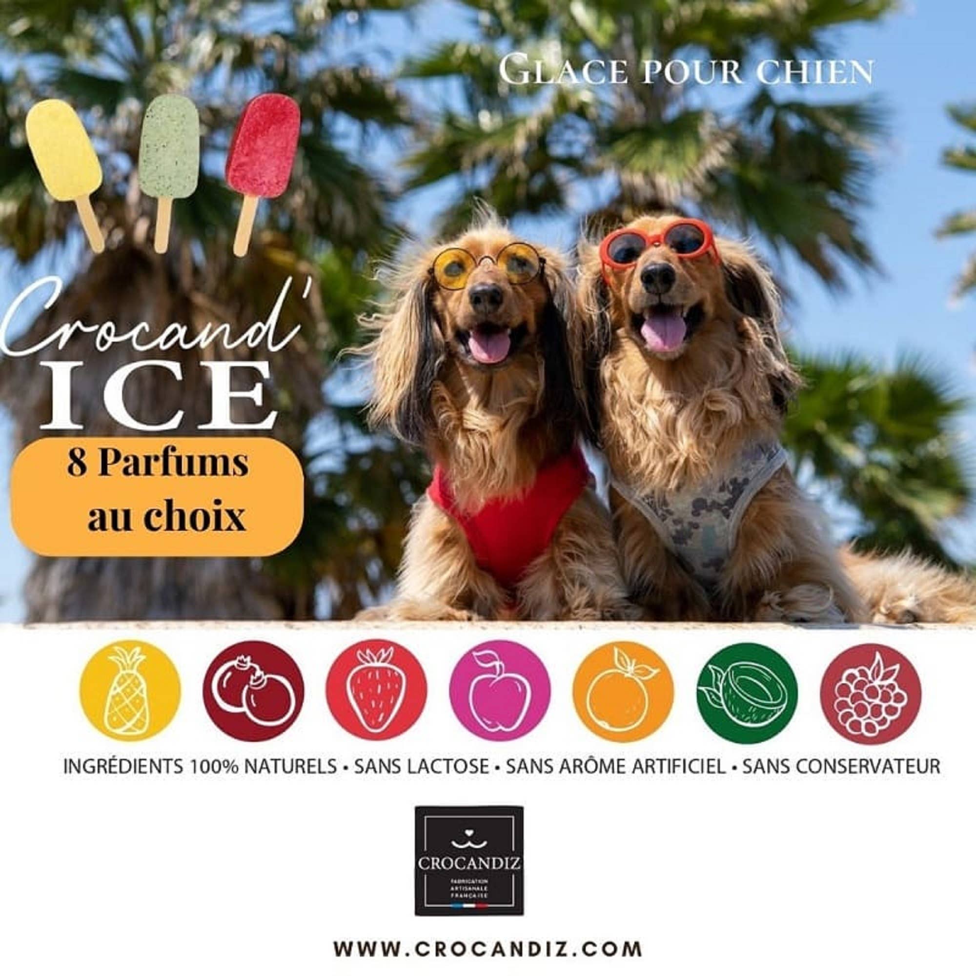 Glace pour chien ananas-coco