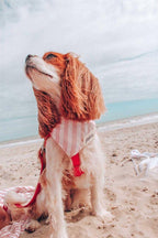 Bandana - Cabana rose