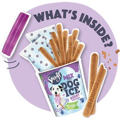 Dog ice cream - Blueberry