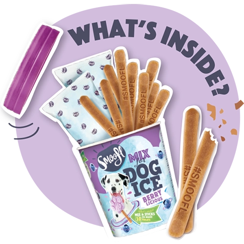 Glace pour chien - Myrtille