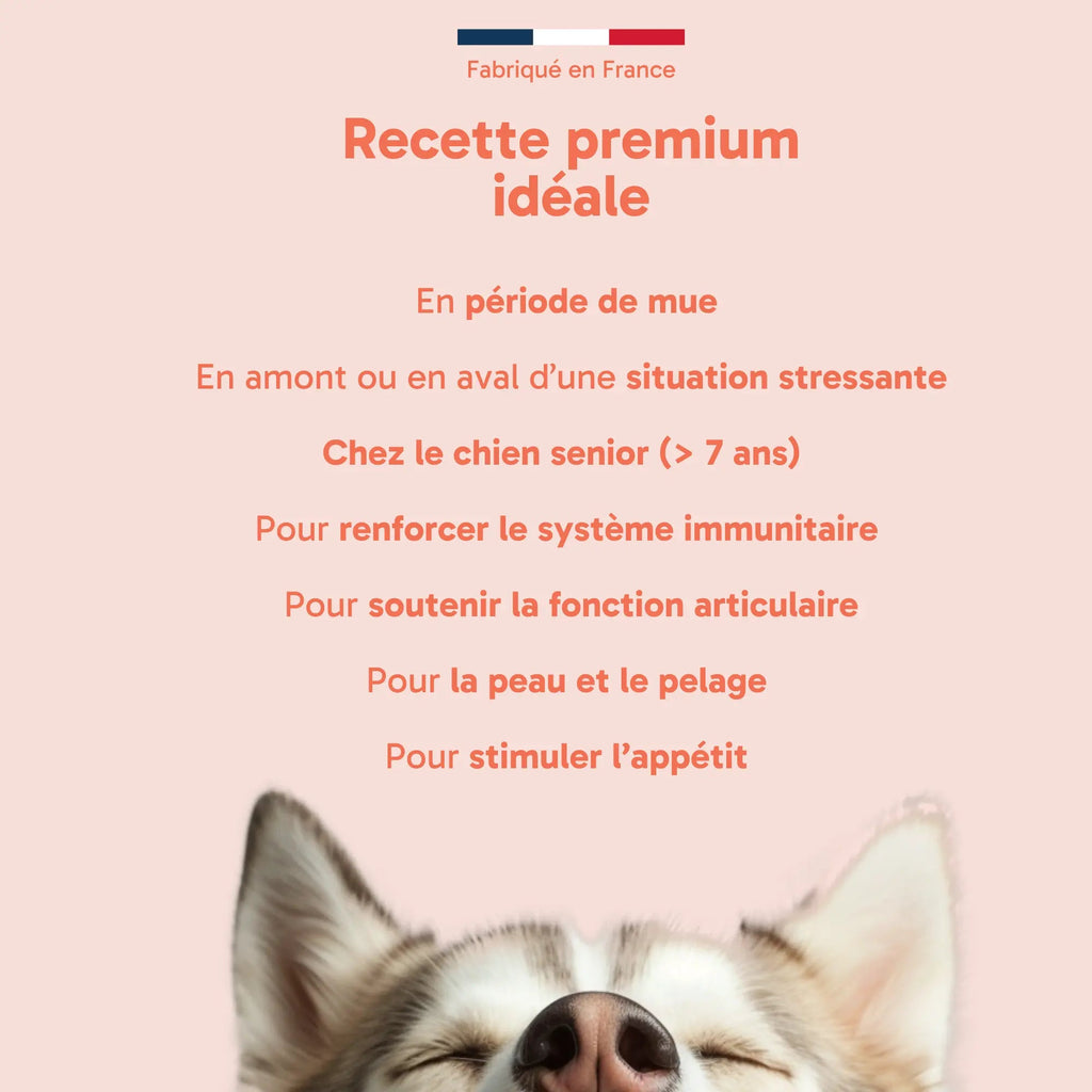 Huile Truite