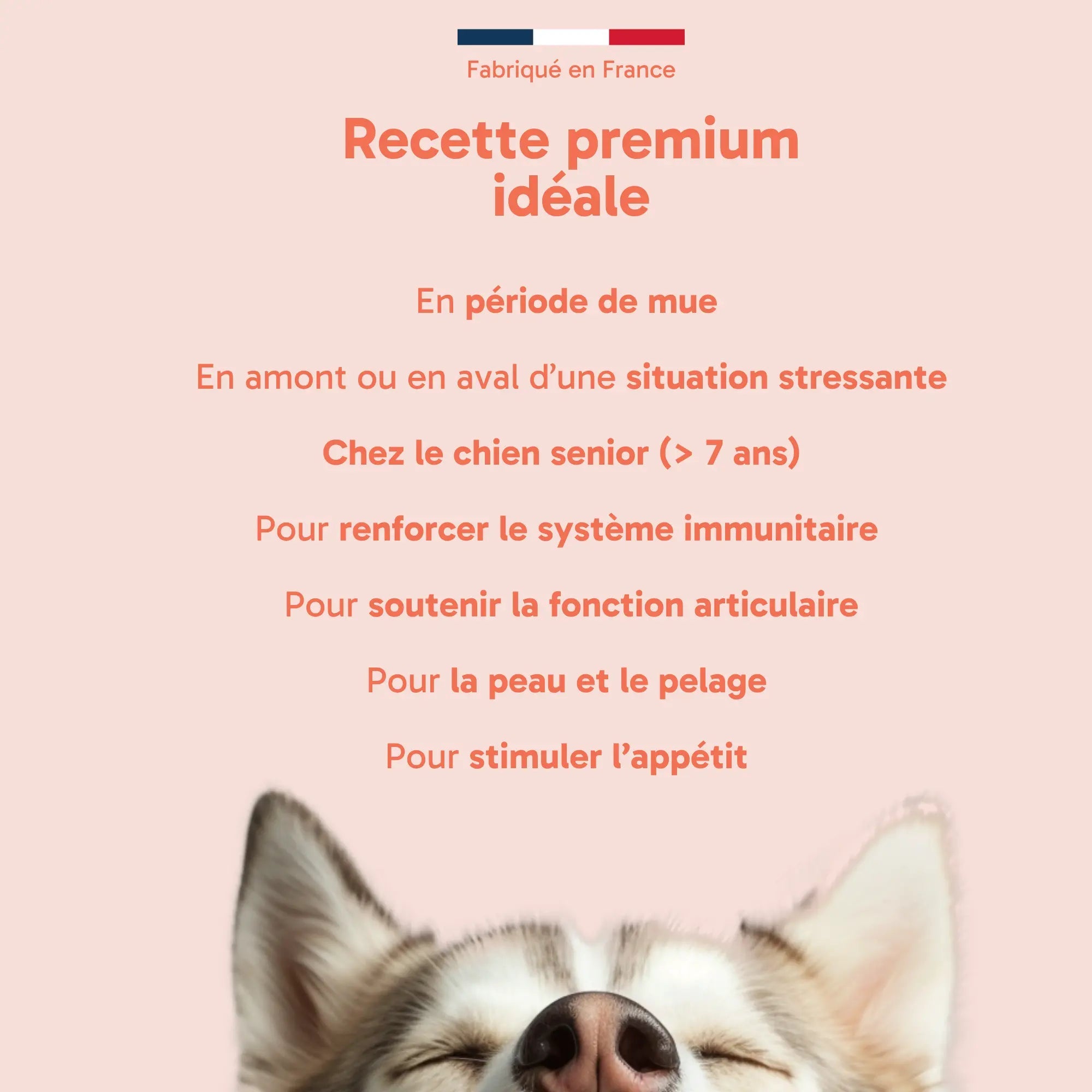 Huile Truite